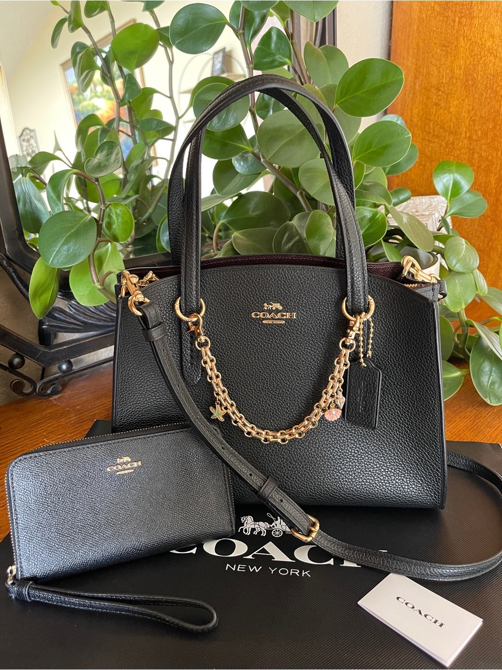 NWOT Coach Mollie 25 Tote Satchel with Matching Wallet